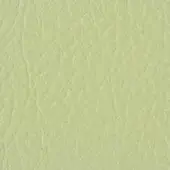 Distressed leather texture, light sage green, with a dense network of fine wrinkles and a matte, subtly mottled finish.